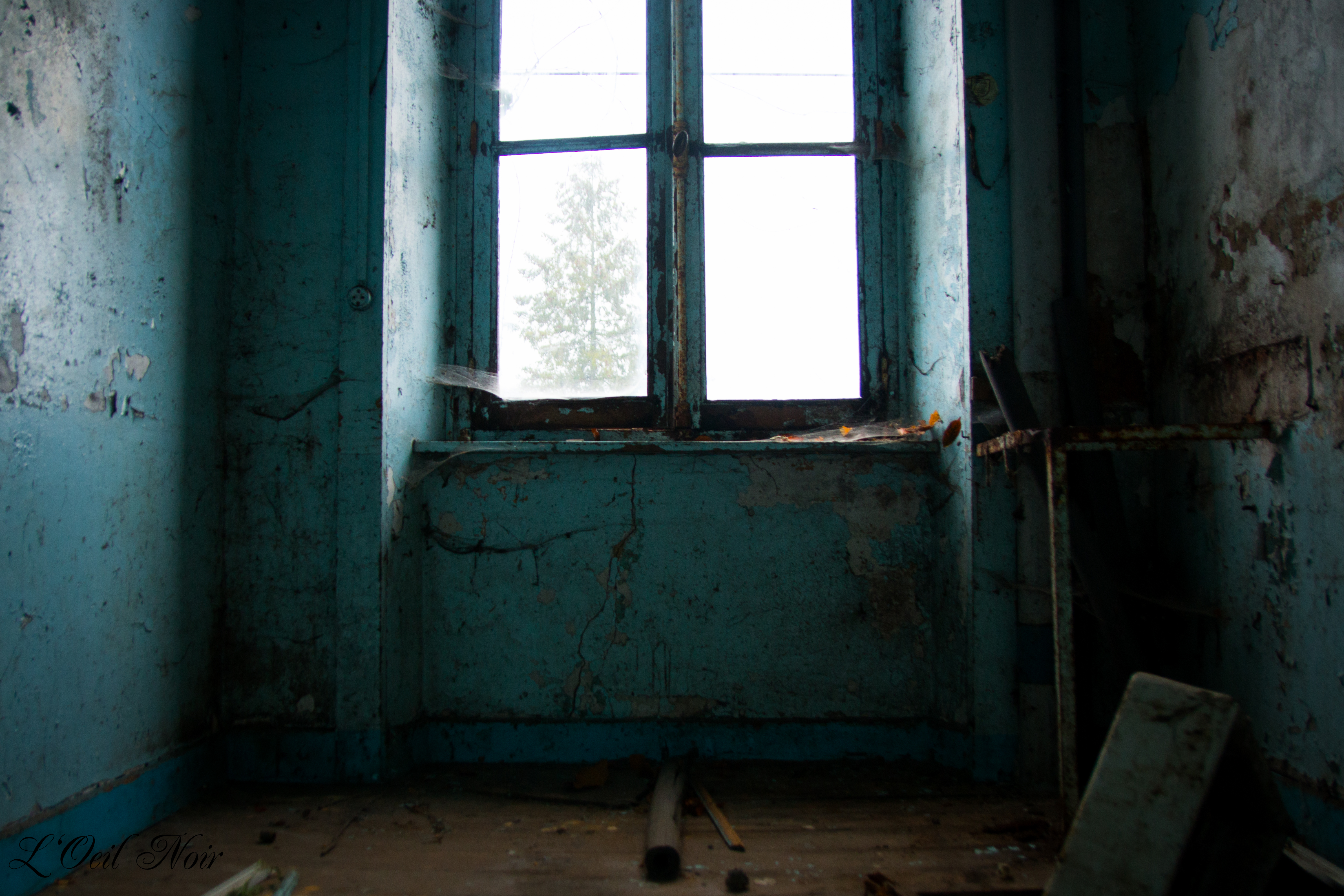 L' Oeil Noir Photographie